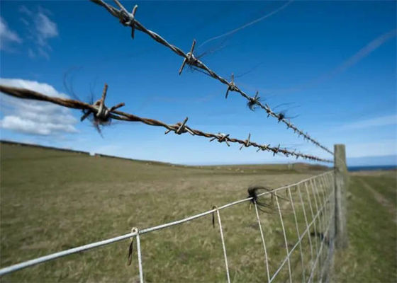 Cercas de campo de aço galvanizado para proteção melhorada de fazendas e jardins