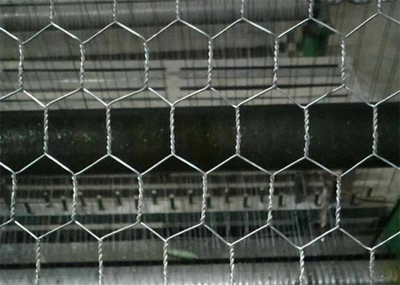 Electro Galvanizado Após Tecelagem Hexagonal Chicken Wire Mesh Netting